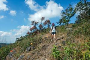 BIB: 
                            <button type="button" onclick="openModal(28096495)" class="btn btn-primary btn-sm float-right btn-popup" data-toggle="modal" data-target=".modal-high-quality">
                        <i class="fas fa-shopping-cart"></i> Add to Cart
                    </button>
                                            <button type="button" onclick="isThisMe(28096495, true)" class="btn btn-success btn-sm float-right btn-popup btn-isme hidden" data-toggle="tooltip" data-placement="bottom" title="นี่คือรูปของคุณใช่ไหม คลิกที่นี่เพื่อเอาเข้าอัลบั้ม">
                        <i class="fas fa-plus"></i> Add to album
                    </button>
                    <button type="button" onclick="isThisMe(28096495, false)" class="btn btn-warning btn-sm float-right btn-popup btn-isnotme hidden">
                        <i class="fas fa-ban"></i> Remove from album
                    </button>