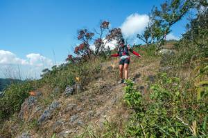 BIB: 
                            <button type="button" onclick="openModal(28096368)" class="btn btn-primary btn-sm float-right btn-popup" data-toggle="modal" data-target=".modal-high-quality">
                        <i class="fas fa-shopping-cart"></i> Add to Cart
                    </button>
                                            <button type="button" onclick="isThisMe(28096368, true)" class="btn btn-success btn-sm float-right btn-popup btn-isme hidden" data-toggle="tooltip" data-placement="bottom" title="นี่คือรูปของคุณใช่ไหม คลิกที่นี่เพื่อเอาเข้าอัลบั้ม">
                        <i class="fas fa-plus"></i> Add to album
                    </button>
                    <button type="button" onclick="isThisMe(28096368, false)" class="btn btn-warning btn-sm float-right btn-popup btn-isnotme hidden">
                        <i class="fas fa-ban"></i> Remove from album
                    </button>