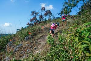 BIB: 
                            <button type="button" onclick="openModal(28098057)" class="btn btn-primary btn-sm float-right btn-popup" data-toggle="modal" data-target=".modal-high-quality">
                        <i class="fas fa-shopping-cart"></i> Add to Cart
                    </button>
                                            <button type="button" onclick="isThisMe(28098057, true)" class="btn btn-success btn-sm float-right btn-popup btn-isme hidden" data-toggle="tooltip" data-placement="bottom" title="นี่คือรูปของคุณใช่ไหม คลิกที่นี่เพื่อเอาเข้าอัลบั้ม">
                        <i class="fas fa-plus"></i> Add to album
                    </button>
                    <button type="button" onclick="isThisMe(28098057, false)" class="btn btn-warning btn-sm float-right btn-popup btn-isnotme hidden">
                        <i class="fas fa-ban"></i> Remove from album
                    </button>