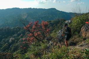 BIB: 
                            <button type="button" onclick="openModal(28099165)" class="btn btn-primary btn-sm float-right btn-popup" data-toggle="modal" data-target=".modal-high-quality">
                        <i class="fas fa-shopping-cart"></i> Add to Cart
                    </button>
                                            <button type="button" onclick="isThisMe(28099165, true)" class="btn btn-success btn-sm float-right btn-popup btn-isme hidden" data-toggle="tooltip" data-placement="bottom" title="นี่คือรูปของคุณใช่ไหม คลิกที่นี่เพื่อเอาเข้าอัลบั้ม">
                        <i class="fas fa-plus"></i> Add to album
                    </button>
                    <button type="button" onclick="isThisMe(28099165, false)" class="btn btn-warning btn-sm float-right btn-popup btn-isnotme hidden">
                        <i class="fas fa-ban"></i> Remove from album
                    </button>