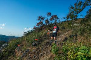 BIB: 
                            <button type="button" onclick="openModal(28098718)" class="btn btn-primary btn-sm float-right btn-popup" data-toggle="modal" data-target=".modal-high-quality">
                        <i class="fas fa-shopping-cart"></i> Add to Cart
                    </button>
                                            <button type="button" onclick="isThisMe(28098718, true)" class="btn btn-success btn-sm float-right btn-popup btn-isme hidden" data-toggle="tooltip" data-placement="bottom" title="นี่คือรูปของคุณใช่ไหม คลิกที่นี่เพื่อเอาเข้าอัลบั้ม">
                        <i class="fas fa-plus"></i> Add to album
                    </button>
                    <button type="button" onclick="isThisMe(28098718, false)" class="btn btn-warning btn-sm float-right btn-popup btn-isnotme hidden">
                        <i class="fas fa-ban"></i> Remove from album
                    </button>