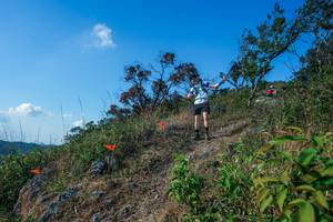 BIB: 
                            <button type="button" onclick="openModal(28098163)" class="btn btn-primary btn-sm float-right btn-popup" data-toggle="modal" data-target=".modal-high-quality">
                        <i class="fas fa-shopping-cart"></i> Add to Cart
                    </button>
                                            <button type="button" onclick="isThisMe(28098163, true)" class="btn btn-success btn-sm float-right btn-popup btn-isme hidden" data-toggle="tooltip" data-placement="bottom" title="นี่คือรูปของคุณใช่ไหม คลิกที่นี่เพื่อเอาเข้าอัลบั้ม">
                        <i class="fas fa-plus"></i> Add to album
                    </button>
                    <button type="button" onclick="isThisMe(28098163, false)" class="btn btn-warning btn-sm float-right btn-popup btn-isnotme hidden">
                        <i class="fas fa-ban"></i> Remove from album
                    </button>