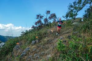 BIB: 
                            <button type="button" onclick="openModal(28096285)" class="btn btn-primary btn-sm float-right btn-popup" data-toggle="modal" data-target=".modal-high-quality">
                        <i class="fas fa-shopping-cart"></i> Add to Cart
                    </button>
                                            <button type="button" onclick="isThisMe(28096285, true)" class="btn btn-success btn-sm float-right btn-popup btn-isme hidden" data-toggle="tooltip" data-placement="bottom" title="นี่คือรูปของคุณใช่ไหม คลิกที่นี่เพื่อเอาเข้าอัลบั้ม">
                        <i class="fas fa-plus"></i> Add to album
                    </button>
                    <button type="button" onclick="isThisMe(28096285, false)" class="btn btn-warning btn-sm float-right btn-popup btn-isnotme hidden">
                        <i class="fas fa-ban"></i> Remove from album
                    </button>