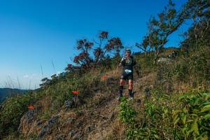 BIB: 
                            <button type="button" onclick="openModal(28098565)" class="btn btn-primary btn-sm float-right btn-popup" data-toggle="modal" data-target=".modal-high-quality">
                        <i class="fas fa-shopping-cart"></i> Add to Cart
                    </button>
                                            <button type="button" onclick="isThisMe(28098565, true)" class="btn btn-success btn-sm float-right btn-popup btn-isme hidden" data-toggle="tooltip" data-placement="bottom" title="นี่คือรูปของคุณใช่ไหม คลิกที่นี่เพื่อเอาเข้าอัลบั้ม">
                        <i class="fas fa-plus"></i> Add to album
                    </button>
                    <button type="button" onclick="isThisMe(28098565, false)" class="btn btn-warning btn-sm float-right btn-popup btn-isnotme hidden">
                        <i class="fas fa-ban"></i> Remove from album
                    </button>