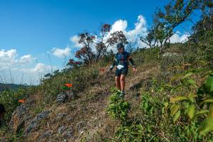 BIB: 
                            <button type="button" onclick="openModal(28097451)" class="btn btn-primary btn-sm float-right btn-popup" data-toggle="modal" data-target=".modal-high-quality">
                        <i class="fas fa-shopping-cart"></i> Add to Cart
                    </button>
                                            <button type="button" onclick="isThisMe(28097451, true)" class="btn btn-success btn-sm float-right btn-popup btn-isme hidden" data-toggle="tooltip" data-placement="bottom" title="นี่คือรูปของคุณใช่ไหม คลิกที่นี่เพื่อเอาเข้าอัลบั้ม">
                        <i class="fas fa-plus"></i> Add to album
                    </button>
                    <button type="button" onclick="isThisMe(28097451, false)" class="btn btn-warning btn-sm float-right btn-popup btn-isnotme hidden">
                        <i class="fas fa-ban"></i> Remove from album
                    </button>