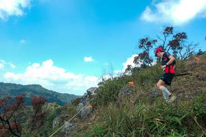 BIB: 
                            <button type="button" onclick="openModal(28095931)" class="btn btn-primary btn-sm float-right btn-popup" data-toggle="modal" data-target=".modal-high-quality">
                        <i class="fas fa-shopping-cart"></i> Add to Cart
                    </button>
                                            <button type="button" onclick="isThisMe(28095931, true)" class="btn btn-success btn-sm float-right btn-popup btn-isme hidden" data-toggle="tooltip" data-placement="bottom" title="นี่คือรูปของคุณใช่ไหม คลิกที่นี่เพื่อเอาเข้าอัลบั้ม">
                        <i class="fas fa-plus"></i> Add to album
                    </button>
                    <button type="button" onclick="isThisMe(28095931, false)" class="btn btn-warning btn-sm float-right btn-popup btn-isnotme hidden">
                        <i class="fas fa-ban"></i> Remove from album
                    </button>