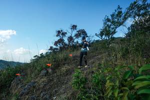 BIB: 
                            <button type="button" onclick="openModal(28097730)" class="btn btn-primary btn-sm float-right btn-popup" data-toggle="modal" data-target=".modal-high-quality">
                        <i class="fas fa-shopping-cart"></i> Add to Cart
                    </button>
                                            <button type="button" onclick="isThisMe(28097730, true)" class="btn btn-success btn-sm float-right btn-popup btn-isme hidden" data-toggle="tooltip" data-placement="bottom" title="นี่คือรูปของคุณใช่ไหม คลิกที่นี่เพื่อเอาเข้าอัลบั้ม">
                        <i class="fas fa-plus"></i> Add to album
                    </button>
                    <button type="button" onclick="isThisMe(28097730, false)" class="btn btn-warning btn-sm float-right btn-popup btn-isnotme hidden">
                        <i class="fas fa-ban"></i> Remove from album
                    </button>