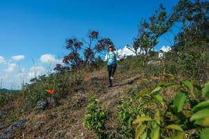 BIB: 
                            <button type="button" onclick="openModal(28097251)" class="btn btn-primary btn-sm float-right btn-popup" data-toggle="modal" data-target=".modal-high-quality">
                        <i class="fas fa-shopping-cart"></i> Add to Cart
                    </button>
                                            <button type="button" onclick="isThisMe(28097251, true)" class="btn btn-success btn-sm float-right btn-popup btn-isme hidden" data-toggle="tooltip" data-placement="bottom" title="นี่คือรูปของคุณใช่ไหม คลิกที่นี่เพื่อเอาเข้าอัลบั้ม">
                        <i class="fas fa-plus"></i> Add to album
                    </button>
                    <button type="button" onclick="isThisMe(28097251, false)" class="btn btn-warning btn-sm float-right btn-popup btn-isnotme hidden">
                        <i class="fas fa-ban"></i> Remove from album
                    </button>