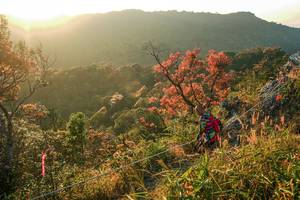 BIB: 
                            <button type="button" onclick="openModal(28099713)" class="btn btn-primary btn-sm float-right btn-popup" data-toggle="modal" data-target=".modal-high-quality">
                        <i class="fas fa-shopping-cart"></i> Add to Cart
                    </button>
                                            <button type="button" onclick="isThisMe(28099713, true)" class="btn btn-success btn-sm float-right btn-popup btn-isme hidden" data-toggle="tooltip" data-placement="bottom" title="นี่คือรูปของคุณใช่ไหม คลิกที่นี่เพื่อเอาเข้าอัลบั้ม">
                        <i class="fas fa-plus"></i> Add to album
                    </button>
                    <button type="button" onclick="isThisMe(28099713, false)" class="btn btn-warning btn-sm float-right btn-popup btn-isnotme hidden">
                        <i class="fas fa-ban"></i> Remove from album
                    </button>