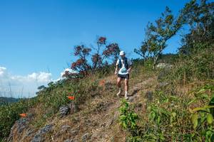 BIB: 
                            <button type="button" onclick="openModal(28096721)" class="btn btn-primary btn-sm float-right btn-popup" data-toggle="modal" data-target=".modal-high-quality">
                        <i class="fas fa-shopping-cart"></i> Add to Cart
                    </button>
                                            <button type="button" onclick="isThisMe(28096721, true)" class="btn btn-success btn-sm float-right btn-popup btn-isme hidden" data-toggle="tooltip" data-placement="bottom" title="นี่คือรูปของคุณใช่ไหม คลิกที่นี่เพื่อเอาเข้าอัลบั้ม">
                        <i class="fas fa-plus"></i> Add to album
                    </button>
                    <button type="button" onclick="isThisMe(28096721, false)" class="btn btn-warning btn-sm float-right btn-popup btn-isnotme hidden">
                        <i class="fas fa-ban"></i> Remove from album
                    </button>