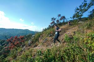 BIB: 
                            <button type="button" onclick="openModal(28098391)" class="btn btn-primary btn-sm float-right btn-popup" data-toggle="modal" data-target=".modal-high-quality">
                        <i class="fas fa-shopping-cart"></i> Add to Cart
                    </button>
                                            <button type="button" onclick="isThisMe(28098391, true)" class="btn btn-success btn-sm float-right btn-popup btn-isme hidden" data-toggle="tooltip" data-placement="bottom" title="นี่คือรูปของคุณใช่ไหม คลิกที่นี่เพื่อเอาเข้าอัลบั้ม">
                        <i class="fas fa-plus"></i> Add to album
                    </button>
                    <button type="button" onclick="isThisMe(28098391, false)" class="btn btn-warning btn-sm float-right btn-popup btn-isnotme hidden">
                        <i class="fas fa-ban"></i> Remove from album
                    </button>