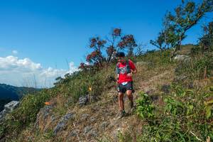 BIB: 
                            <button type="button" onclick="openModal(28096614)" class="btn btn-primary btn-sm float-right btn-popup" data-toggle="modal" data-target=".modal-high-quality">
                        <i class="fas fa-shopping-cart"></i> Add to Cart
                    </button>
                                            <button type="button" onclick="isThisMe(28096614, true)" class="btn btn-success btn-sm float-right btn-popup btn-isme hidden" data-toggle="tooltip" data-placement="bottom" title="นี่คือรูปของคุณใช่ไหม คลิกที่นี่เพื่อเอาเข้าอัลบั้ม">
                        <i class="fas fa-plus"></i> Add to album
                    </button>
                    <button type="button" onclick="isThisMe(28096614, false)" class="btn btn-warning btn-sm float-right btn-popup btn-isnotme hidden">
                        <i class="fas fa-ban"></i> Remove from album
                    </button>