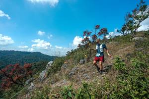 BIB: 
                            <button type="button" onclick="openModal(28096155)" class="btn btn-primary btn-sm float-right btn-popup" data-toggle="modal" data-target=".modal-high-quality">
                        <i class="fas fa-shopping-cart"></i> Add to Cart
                    </button>
                                            <button type="button" onclick="isThisMe(28096155, true)" class="btn btn-success btn-sm float-right btn-popup btn-isme hidden" data-toggle="tooltip" data-placement="bottom" title="นี่คือรูปของคุณใช่ไหม คลิกที่นี่เพื่อเอาเข้าอัลบั้ม">
                        <i class="fas fa-plus"></i> Add to album
                    </button>
                    <button type="button" onclick="isThisMe(28096155, false)" class="btn btn-warning btn-sm float-right btn-popup btn-isnotme hidden">
                        <i class="fas fa-ban"></i> Remove from album
                    </button>