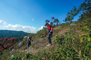 BIB: 
                            <button type="button" onclick="openModal(28097168)" class="btn btn-primary btn-sm float-right btn-popup" data-toggle="modal" data-target=".modal-high-quality">
                        <i class="fas fa-shopping-cart"></i> Add to Cart
                    </button>
                                            <button type="button" onclick="isThisMe(28097168, true)" class="btn btn-success btn-sm float-right btn-popup btn-isme hidden" data-toggle="tooltip" data-placement="bottom" title="นี่คือรูปของคุณใช่ไหม คลิกที่นี่เพื่อเอาเข้าอัลบั้ม">
                        <i class="fas fa-plus"></i> Add to album
                    </button>
                    <button type="button" onclick="isThisMe(28097168, false)" class="btn btn-warning btn-sm float-right btn-popup btn-isnotme hidden">
                        <i class="fas fa-ban"></i> Remove from album
                    </button>