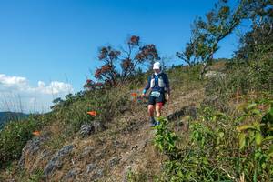 BIB: 
                            <button type="button" onclick="openModal(28096688)" class="btn btn-primary btn-sm float-right btn-popup" data-toggle="modal" data-target=".modal-high-quality">
                        <i class="fas fa-shopping-cart"></i> Add to Cart
                    </button>
                                            <button type="button" onclick="isThisMe(28096688, true)" class="btn btn-success btn-sm float-right btn-popup btn-isme hidden" data-toggle="tooltip" data-placement="bottom" title="นี่คือรูปของคุณใช่ไหม คลิกที่นี่เพื่อเอาเข้าอัลบั้ม">
                        <i class="fas fa-plus"></i> Add to album
                    </button>
                    <button type="button" onclick="isThisMe(28096688, false)" class="btn btn-warning btn-sm float-right btn-popup btn-isnotme hidden">
                        <i class="fas fa-ban"></i> Remove from album
                    </button>