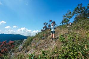 BIB: 
                            <button type="button" onclick="openModal(28096625)" class="btn btn-primary btn-sm float-right btn-popup" data-toggle="modal" data-target=".modal-high-quality">
                        <i class="fas fa-shopping-cart"></i> Add to Cart
                    </button>
                                            <button type="button" onclick="isThisMe(28096625, true)" class="btn btn-success btn-sm float-right btn-popup btn-isme hidden" data-toggle="tooltip" data-placement="bottom" title="นี่คือรูปของคุณใช่ไหม คลิกที่นี่เพื่อเอาเข้าอัลบั้ม">
                        <i class="fas fa-plus"></i> Add to album
                    </button>
                    <button type="button" onclick="isThisMe(28096625, false)" class="btn btn-warning btn-sm float-right btn-popup btn-isnotme hidden">
                        <i class="fas fa-ban"></i> Remove from album
                    </button>