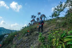 BIB: 
                            <button type="button" onclick="openModal(28097902)" class="btn btn-primary btn-sm float-right btn-popup" data-toggle="modal" data-target=".modal-high-quality">
                        <i class="fas fa-shopping-cart"></i> Add to Cart
                    </button>
                                            <button type="button" onclick="isThisMe(28097902, true)" class="btn btn-success btn-sm float-right btn-popup btn-isme hidden" data-toggle="tooltip" data-placement="bottom" title="นี่คือรูปของคุณใช่ไหม คลิกที่นี่เพื่อเอาเข้าอัลบั้ม">
                        <i class="fas fa-plus"></i> Add to album
                    </button>
                    <button type="button" onclick="isThisMe(28097902, false)" class="btn btn-warning btn-sm float-right btn-popup btn-isnotme hidden">
                        <i class="fas fa-ban"></i> Remove from album
                    </button>