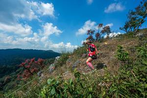 BIB: 
                            <button type="button" onclick="openModal(28096101)" class="btn btn-primary btn-sm float-right btn-popup" data-toggle="modal" data-target=".modal-high-quality">
                        <i class="fas fa-shopping-cart"></i> Add to Cart
                    </button>
                                            <button type="button" onclick="isThisMe(28096101, true)" class="btn btn-success btn-sm float-right btn-popup btn-isme hidden" data-toggle="tooltip" data-placement="bottom" title="นี่คือรูปของคุณใช่ไหม คลิกที่นี่เพื่อเอาเข้าอัลบั้ม">
                        <i class="fas fa-plus"></i> Add to album
                    </button>
                    <button type="button" onclick="isThisMe(28096101, false)" class="btn btn-warning btn-sm float-right btn-popup btn-isnotme hidden">
                        <i class="fas fa-ban"></i> Remove from album
                    </button>