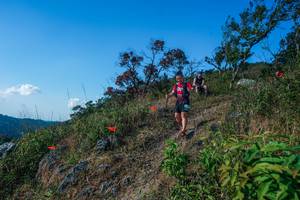 BIB: 
                            <button type="button" onclick="openModal(28098269)" class="btn btn-primary btn-sm float-right btn-popup" data-toggle="modal" data-target=".modal-high-quality">
                        <i class="fas fa-shopping-cart"></i> Add to Cart
                    </button>
                                            <button type="button" onclick="isThisMe(28098269, true)" class="btn btn-success btn-sm float-right btn-popup btn-isme hidden" data-toggle="tooltip" data-placement="bottom" title="นี่คือรูปของคุณใช่ไหม คลิกที่นี่เพื่อเอาเข้าอัลบั้ม">
                        <i class="fas fa-plus"></i> Add to album
                    </button>
                    <button type="button" onclick="isThisMe(28098269, false)" class="btn btn-warning btn-sm float-right btn-popup btn-isnotme hidden">
                        <i class="fas fa-ban"></i> Remove from album
                    </button>