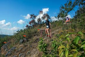 BIB: 
                            <button type="button" onclick="openModal(28097479)" class="btn btn-primary btn-sm float-right btn-popup" data-toggle="modal" data-target=".modal-high-quality">
                        <i class="fas fa-shopping-cart"></i> Add to Cart
                    </button>
                                            <button type="button" onclick="isThisMe(28097479, true)" class="btn btn-success btn-sm float-right btn-popup btn-isme hidden" data-toggle="tooltip" data-placement="bottom" title="นี่คือรูปของคุณใช่ไหม คลิกที่นี่เพื่อเอาเข้าอัลบั้ม">
                        <i class="fas fa-plus"></i> Add to album
                    </button>
                    <button type="button" onclick="isThisMe(28097479, false)" class="btn btn-warning btn-sm float-right btn-popup btn-isnotme hidden">
                        <i class="fas fa-ban"></i> Remove from album
                    </button>