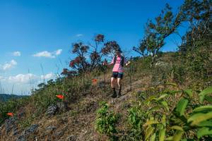 BIB: 
                            <button type="button" onclick="openModal(28097634)" class="btn btn-primary btn-sm float-right btn-popup" data-toggle="modal" data-target=".modal-high-quality">
                        <i class="fas fa-shopping-cart"></i> Add to Cart
                    </button>
                                            <button type="button" onclick="isThisMe(28097634, true)" class="btn btn-success btn-sm float-right btn-popup btn-isme hidden" data-toggle="tooltip" data-placement="bottom" title="นี่คือรูปของคุณใช่ไหม คลิกที่นี่เพื่อเอาเข้าอัลบั้ม">
                        <i class="fas fa-plus"></i> Add to album
                    </button>
                    <button type="button" onclick="isThisMe(28097634, false)" class="btn btn-warning btn-sm float-right btn-popup btn-isnotme hidden">
                        <i class="fas fa-ban"></i> Remove from album
                    </button>