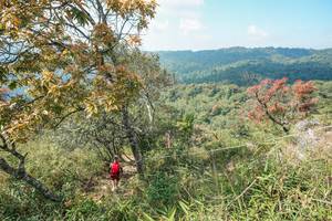 BIB: 
                            <button type="button" onclick="openModal(28095735)" class="btn btn-primary btn-sm float-right btn-popup" data-toggle="modal" data-target=".modal-high-quality">
                        <i class="fas fa-shopping-cart"></i> Add to Cart
                    </button>
                                            <button type="button" onclick="isThisMe(28095735, true)" class="btn btn-success btn-sm float-right btn-popup btn-isme hidden" data-toggle="tooltip" data-placement="bottom" title="นี่คือรูปของคุณใช่ไหม คลิกที่นี่เพื่อเอาเข้าอัลบั้ม">
                        <i class="fas fa-plus"></i> Add to album
                    </button>
                    <button type="button" onclick="isThisMe(28095735, false)" class="btn btn-warning btn-sm float-right btn-popup btn-isnotme hidden">
                        <i class="fas fa-ban"></i> Remove from album
                    </button>