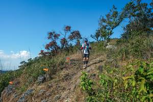 BIB: 
                            <button type="button" onclick="openModal(28096704)" class="btn btn-primary btn-sm float-right btn-popup" data-toggle="modal" data-target=".modal-high-quality">
                        <i class="fas fa-shopping-cart"></i> Add to Cart
                    </button>
                                            <button type="button" onclick="isThisMe(28096704, true)" class="btn btn-success btn-sm float-right btn-popup btn-isme hidden" data-toggle="tooltip" data-placement="bottom" title="นี่คือรูปของคุณใช่ไหม คลิกที่นี่เพื่อเอาเข้าอัลบั้ม">
                        <i class="fas fa-plus"></i> Add to album
                    </button>
                    <button type="button" onclick="isThisMe(28096704, false)" class="btn btn-warning btn-sm float-right btn-popup btn-isnotme hidden">
                        <i class="fas fa-ban"></i> Remove from album
                    </button>