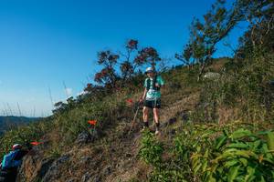 BIB: 
                            <button type="button" onclick="openModal(28098657)" class="btn btn-primary btn-sm float-right btn-popup" data-toggle="modal" data-target=".modal-high-quality">
                        <i class="fas fa-shopping-cart"></i> Add to Cart
                    </button>
                                            <button type="button" onclick="isThisMe(28098657, true)" class="btn btn-success btn-sm float-right btn-popup btn-isme hidden" data-toggle="tooltip" data-placement="bottom" title="นี่คือรูปของคุณใช่ไหม คลิกที่นี่เพื่อเอาเข้าอัลบั้ม">
                        <i class="fas fa-plus"></i> Add to album
                    </button>
                    <button type="button" onclick="isThisMe(28098657, false)" class="btn btn-warning btn-sm float-right btn-popup btn-isnotme hidden">
                        <i class="fas fa-ban"></i> Remove from album
                    </button>