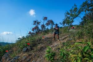 BIB: 
                            <button type="button" onclick="openModal(28098127)" class="btn btn-primary btn-sm float-right btn-popup" data-toggle="modal" data-target=".modal-high-quality">
                        <i class="fas fa-shopping-cart"></i> Add to Cart
                    </button>
                                            <button type="button" onclick="isThisMe(28098127, true)" class="btn btn-success btn-sm float-right btn-popup btn-isme hidden" data-toggle="tooltip" data-placement="bottom" title="นี่คือรูปของคุณใช่ไหม คลิกที่นี่เพื่อเอาเข้าอัลบั้ม">
                        <i class="fas fa-plus"></i> Add to album
                    </button>
                    <button type="button" onclick="isThisMe(28098127, false)" class="btn btn-warning btn-sm float-right btn-popup btn-isnotme hidden">
                        <i class="fas fa-ban"></i> Remove from album
                    </button>