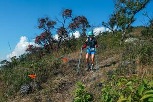 BIB: 
                            <button type="button" onclick="openModal(28097082)" class="btn btn-primary btn-sm float-right btn-popup" data-toggle="modal" data-target=".modal-high-quality">
                        <i class="fas fa-shopping-cart"></i> Add to Cart
                    </button>
                                            <button type="button" onclick="isThisMe(28097082, true)" class="btn btn-success btn-sm float-right btn-popup btn-isme hidden" data-toggle="tooltip" data-placement="bottom" title="นี่คือรูปของคุณใช่ไหม คลิกที่นี่เพื่อเอาเข้าอัลบั้ม">
                        <i class="fas fa-plus"></i> Add to album
                    </button>
                    <button type="button" onclick="isThisMe(28097082, false)" class="btn btn-warning btn-sm float-right btn-popup btn-isnotme hidden">
                        <i class="fas fa-ban"></i> Remove from album
                    </button>