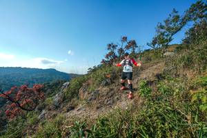 BIB: 
                            <button type="button" onclick="openModal(28098530)" class="btn btn-primary btn-sm float-right btn-popup" data-toggle="modal" data-target=".modal-high-quality">
                        <i class="fas fa-shopping-cart"></i> Add to Cart
                    </button>
                                            <button type="button" onclick="isThisMe(28098530, true)" class="btn btn-success btn-sm float-right btn-popup btn-isme hidden" data-toggle="tooltip" data-placement="bottom" title="นี่คือรูปของคุณใช่ไหม คลิกที่นี่เพื่อเอาเข้าอัลบั้ม">
                        <i class="fas fa-plus"></i> Add to album
                    </button>
                    <button type="button" onclick="isThisMe(28098530, false)" class="btn btn-warning btn-sm float-right btn-popup btn-isnotme hidden">
                        <i class="fas fa-ban"></i> Remove from album
                    </button>