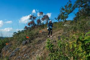 BIB: 
                            <button type="button" onclick="openModal(28097584)" class="btn btn-primary btn-sm float-right btn-popup" data-toggle="modal" data-target=".modal-high-quality">
                        <i class="fas fa-shopping-cart"></i> Add to Cart
                    </button>
                                            <button type="button" onclick="isThisMe(28097584, true)" class="btn btn-success btn-sm float-right btn-popup btn-isme hidden" data-toggle="tooltip" data-placement="bottom" title="นี่คือรูปของคุณใช่ไหม คลิกที่นี่เพื่อเอาเข้าอัลบั้ม">
                        <i class="fas fa-plus"></i> Add to album
                    </button>
                    <button type="button" onclick="isThisMe(28097584, false)" class="btn btn-warning btn-sm float-right btn-popup btn-isnotme hidden">
                        <i class="fas fa-ban"></i> Remove from album
                    </button>