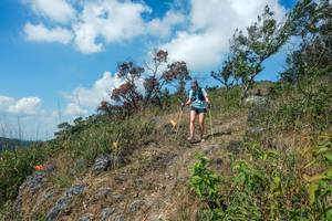 BIB: 
                            <button type="button" onclick="openModal(28096483)" class="btn btn-primary btn-sm float-right btn-popup" data-toggle="modal" data-target=".modal-high-quality">
                        <i class="fas fa-shopping-cart"></i> Add to Cart
                    </button>
                                            <button type="button" onclick="isThisMe(28096483, true)" class="btn btn-success btn-sm float-right btn-popup btn-isme hidden" data-toggle="tooltip" data-placement="bottom" title="นี่คือรูปของคุณใช่ไหม คลิกที่นี่เพื่อเอาเข้าอัลบั้ม">
                        <i class="fas fa-plus"></i> Add to album
                    </button>
                    <button type="button" onclick="isThisMe(28096483, false)" class="btn btn-warning btn-sm float-right btn-popup btn-isnotme hidden">
                        <i class="fas fa-ban"></i> Remove from album
                    </button>