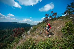 BIB: 
                            <button type="button" onclick="openModal(28095943)" class="btn btn-primary btn-sm float-right btn-popup" data-toggle="modal" data-target=".modal-high-quality">
                        <i class="fas fa-shopping-cart"></i> Add to Cart
                    </button>
                                            <button type="button" onclick="isThisMe(28095943, true)" class="btn btn-success btn-sm float-right btn-popup btn-isme hidden" data-toggle="tooltip" data-placement="bottom" title="นี่คือรูปของคุณใช่ไหม คลิกที่นี่เพื่อเอาเข้าอัลบั้ม">
                        <i class="fas fa-plus"></i> Add to album
                    </button>
                    <button type="button" onclick="isThisMe(28095943, false)" class="btn btn-warning btn-sm float-right btn-popup btn-isnotme hidden">
                        <i class="fas fa-ban"></i> Remove from album
                    </button>