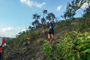 BIB: 
                            <button type="button" onclick="openModal(28097868)" class="btn btn-primary btn-sm float-right btn-popup" data-toggle="modal" data-target=".modal-high-quality">
                        <i class="fas fa-shopping-cart"></i> Add to Cart
                    </button>
                                            <button type="button" onclick="isThisMe(28097868, true)" class="btn btn-success btn-sm float-right btn-popup btn-isme hidden" data-toggle="tooltip" data-placement="bottom" title="นี่คือรูปของคุณใช่ไหม คลิกที่นี่เพื่อเอาเข้าอัลบั้ม">
                        <i class="fas fa-plus"></i> Add to album
                    </button>
                    <button type="button" onclick="isThisMe(28097868, false)" class="btn btn-warning btn-sm float-right btn-popup btn-isnotme hidden">
                        <i class="fas fa-ban"></i> Remove from album
                    </button>