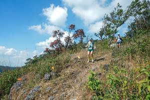 BIB: 
                            <button type="button" onclick="openModal(28096432)" class="btn btn-primary btn-sm float-right btn-popup" data-toggle="modal" data-target=".modal-high-quality">
                        <i class="fas fa-shopping-cart"></i> Add to Cart
                    </button>
                                            <button type="button" onclick="isThisMe(28096432, true)" class="btn btn-success btn-sm float-right btn-popup btn-isme hidden" data-toggle="tooltip" data-placement="bottom" title="นี่คือรูปของคุณใช่ไหม คลิกที่นี่เพื่อเอาเข้าอัลบั้ม">
                        <i class="fas fa-plus"></i> Add to album
                    </button>
                    <button type="button" onclick="isThisMe(28096432, false)" class="btn btn-warning btn-sm float-right btn-popup btn-isnotme hidden">
                        <i class="fas fa-ban"></i> Remove from album
                    </button>