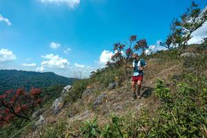 BIB: 
                            <button type="button" onclick="openModal(28096157)" class="btn btn-primary btn-sm float-right btn-popup" data-toggle="modal" data-target=".modal-high-quality">
                        <i class="fas fa-shopping-cart"></i> Add to Cart
                    </button>
                                            <button type="button" onclick="isThisMe(28096157, true)" class="btn btn-success btn-sm float-right btn-popup btn-isme hidden" data-toggle="tooltip" data-placement="bottom" title="นี่คือรูปของคุณใช่ไหม คลิกที่นี่เพื่อเอาเข้าอัลบั้ม">
                        <i class="fas fa-plus"></i> Add to album
                    </button>
                    <button type="button" onclick="isThisMe(28096157, false)" class="btn btn-warning btn-sm float-right btn-popup btn-isnotme hidden">
                        <i class="fas fa-ban"></i> Remove from album
                    </button>