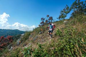 BIB: 
                            <button type="button" onclick="openModal(28096703)" class="btn btn-primary btn-sm float-right btn-popup" data-toggle="modal" data-target=".modal-high-quality">
                        <i class="fas fa-shopping-cart"></i> Add to Cart
                    </button>
                                            <button type="button" onclick="isThisMe(28096703, true)" class="btn btn-success btn-sm float-right btn-popup btn-isme hidden" data-toggle="tooltip" data-placement="bottom" title="นี่คือรูปของคุณใช่ไหม คลิกที่นี่เพื่อเอาเข้าอัลบั้ม">
                        <i class="fas fa-plus"></i> Add to album
                    </button>
                    <button type="button" onclick="isThisMe(28096703, false)" class="btn btn-warning btn-sm float-right btn-popup btn-isnotme hidden">
                        <i class="fas fa-ban"></i> Remove from album
                    </button>