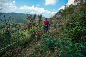 BIB: 
                            <button type="button" onclick="openModal(28095922)" class="btn btn-primary btn-sm float-right btn-popup" data-toggle="modal" data-target=".modal-high-quality">
                        <i class="fas fa-shopping-cart"></i> Add to Cart
                    </button>
                                            <button type="button" onclick="isThisMe(28095922, true)" class="btn btn-success btn-sm float-right btn-popup btn-isme hidden" data-toggle="tooltip" data-placement="bottom" title="นี่คือรูปของคุณใช่ไหม คลิกที่นี่เพื่อเอาเข้าอัลบั้ม">
                        <i class="fas fa-plus"></i> Add to album
                    </button>
                    <button type="button" onclick="isThisMe(28095922, false)" class="btn btn-warning btn-sm float-right btn-popup btn-isnotme hidden">
                        <i class="fas fa-ban"></i> Remove from album
                    </button>