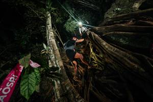 BIB: 
                            <button type="button" onclick="openModal(28097494)" class="btn btn-primary btn-sm float-right btn-popup" data-toggle="modal" data-target=".modal-high-quality">
                        <i class="fas fa-shopping-cart"></i> Add to Cart
                    </button>
                                            <button type="button" onclick="isThisMe(28097494, true)" class="btn btn-success btn-sm float-right btn-popup btn-isme hidden" data-toggle="tooltip" data-placement="bottom" title="นี่คือรูปของคุณใช่ไหม คลิกที่นี่เพื่อเอาเข้าอัลบั้ม">
                        <i class="fas fa-plus"></i> Add to album
                    </button>
                    <button type="button" onclick="isThisMe(28097494, false)" class="btn btn-warning btn-sm float-right btn-popup btn-isnotme hidden">
                        <i class="fas fa-ban"></i> Remove from album
                    </button>