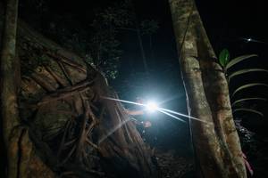 BIB: 
                            <button type="button" onclick="openModal(28098489)" class="btn btn-primary btn-sm float-right btn-popup" data-toggle="modal" data-target=".modal-high-quality">
                        <i class="fas fa-shopping-cart"></i> Add to Cart
                    </button>
                                            <button type="button" onclick="isThisMe(28098489, true)" class="btn btn-success btn-sm float-right btn-popup btn-isme hidden" data-toggle="tooltip" data-placement="bottom" title="นี่คือรูปของคุณใช่ไหม คลิกที่นี่เพื่อเอาเข้าอัลบั้ม">
                        <i class="fas fa-plus"></i> Add to album
                    </button>
                    <button type="button" onclick="isThisMe(28098489, false)" class="btn btn-warning btn-sm float-right btn-popup btn-isnotme hidden">
                        <i class="fas fa-ban"></i> Remove from album
                    </button>