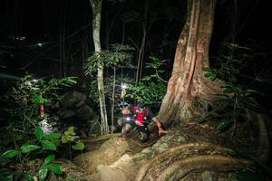 BIB: 
                            <button type="button" onclick="openModal(28100475)" class="btn btn-primary btn-sm float-right btn-popup" data-toggle="modal" data-target=".modal-high-quality">
                        <i class="fas fa-shopping-cart"></i> Add to Cart
                    </button>
                                            <button type="button" onclick="isThisMe(28100475, true)" class="btn btn-success btn-sm float-right btn-popup btn-isme hidden" data-toggle="tooltip" data-placement="bottom" title="นี่คือรูปของคุณใช่ไหม คลิกที่นี่เพื่อเอาเข้าอัลบั้ม">
                        <i class="fas fa-plus"></i> Add to album
                    </button>
                    <button type="button" onclick="isThisMe(28100475, false)" class="btn btn-warning btn-sm float-right btn-popup btn-isnotme hidden">
                        <i class="fas fa-ban"></i> Remove from album
                    </button>