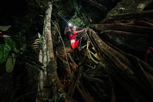 BIB: 
                            <button type="button" onclick="openModal(28097581)" class="btn btn-primary btn-sm float-right btn-popup" data-toggle="modal" data-target=".modal-high-quality">
                        <i class="fas fa-shopping-cart"></i> Add to Cart
                    </button>
                                            <button type="button" onclick="isThisMe(28097581, true)" class="btn btn-success btn-sm float-right btn-popup btn-isme hidden" data-toggle="tooltip" data-placement="bottom" title="นี่คือรูปของคุณใช่ไหม คลิกที่นี่เพื่อเอาเข้าอัลบั้ม">
                        <i class="fas fa-plus"></i> Add to album
                    </button>
                    <button type="button" onclick="isThisMe(28097581, false)" class="btn btn-warning btn-sm float-right btn-popup btn-isnotme hidden">
                        <i class="fas fa-ban"></i> Remove from album
                    </button>