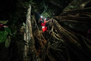 BIB: 
                            <button type="button" onclick="openModal(28097583)" class="btn btn-primary btn-sm float-right btn-popup" data-toggle="modal" data-target=".modal-high-quality">
                        <i class="fas fa-shopping-cart"></i> Add to Cart
                    </button>
                                            <button type="button" onclick="isThisMe(28097583, true)" class="btn btn-success btn-sm float-right btn-popup btn-isme hidden" data-toggle="tooltip" data-placement="bottom" title="นี่คือรูปของคุณใช่ไหม คลิกที่นี่เพื่อเอาเข้าอัลบั้ม">
                        <i class="fas fa-plus"></i> Add to album
                    </button>
                    <button type="button" onclick="isThisMe(28097583, false)" class="btn btn-warning btn-sm float-right btn-popup btn-isnotme hidden">
                        <i class="fas fa-ban"></i> Remove from album
                    </button>