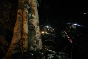 BIB: 
                            <button type="button" onclick="openModal(28097430)" class="btn btn-primary btn-sm float-right btn-popup" data-toggle="modal" data-target=".modal-high-quality">
                        <i class="fas fa-shopping-cart"></i> Add to Cart
                    </button>
                                            <button type="button" onclick="isThisMe(28097430, true)" class="btn btn-success btn-sm float-right btn-popup btn-isme hidden" data-toggle="tooltip" data-placement="bottom" title="นี่คือรูปของคุณใช่ไหม คลิกที่นี่เพื่อเอาเข้าอัลบั้ม">
                        <i class="fas fa-plus"></i> Add to album
                    </button>
                    <button type="button" onclick="isThisMe(28097430, false)" class="btn btn-warning btn-sm float-right btn-popup btn-isnotme hidden">
                        <i class="fas fa-ban"></i> Remove from album
                    </button>