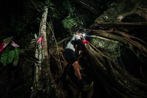 BIB: 
                            <button type="button" onclick="openModal(28097227)" class="btn btn-primary btn-sm float-right btn-popup" data-toggle="modal" data-target=".modal-high-quality">
                        <i class="fas fa-shopping-cart"></i> Add to Cart
                    </button>
                                            <button type="button" onclick="isThisMe(28097227, true)" class="btn btn-success btn-sm float-right btn-popup btn-isme hidden" data-toggle="tooltip" data-placement="bottom" title="นี่คือรูปของคุณใช่ไหม คลิกที่นี่เพื่อเอาเข้าอัลบั้ม">
                        <i class="fas fa-plus"></i> Add to album
                    </button>
                    <button type="button" onclick="isThisMe(28097227, false)" class="btn btn-warning btn-sm float-right btn-popup btn-isnotme hidden">
                        <i class="fas fa-ban"></i> Remove from album
                    </button>