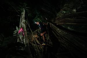 BIB: 
                            <button type="button" onclick="openModal(28096963)" class="btn btn-primary btn-sm float-right btn-popup" data-toggle="modal" data-target=".modal-high-quality">
                        <i class="fas fa-shopping-cart"></i> Add to Cart
                    </button>
                                            <button type="button" onclick="isThisMe(28096963, true)" class="btn btn-success btn-sm float-right btn-popup btn-isme hidden" data-toggle="tooltip" data-placement="bottom" title="นี่คือรูปของคุณใช่ไหม คลิกที่นี่เพื่อเอาเข้าอัลบั้ม">
                        <i class="fas fa-plus"></i> Add to album
                    </button>
                    <button type="button" onclick="isThisMe(28096963, false)" class="btn btn-warning btn-sm float-right btn-popup btn-isnotme hidden">
                        <i class="fas fa-ban"></i> Remove from album
                    </button>