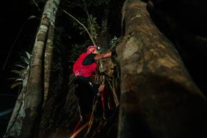 BIB: 
                            <button type="button" onclick="openModal(28098159)" class="btn btn-primary btn-sm float-right btn-popup" data-toggle="modal" data-target=".modal-high-quality">
                        <i class="fas fa-shopping-cart"></i> Add to Cart
                    </button>
                                            <button type="button" onclick="isThisMe(28098159, true)" class="btn btn-success btn-sm float-right btn-popup btn-isme hidden" data-toggle="tooltip" data-placement="bottom" title="นี่คือรูปของคุณใช่ไหม คลิกที่นี่เพื่อเอาเข้าอัลบั้ม">
                        <i class="fas fa-plus"></i> Add to album
                    </button>
                    <button type="button" onclick="isThisMe(28098159, false)" class="btn btn-warning btn-sm float-right btn-popup btn-isnotme hidden">
                        <i class="fas fa-ban"></i> Remove from album
                    </button>