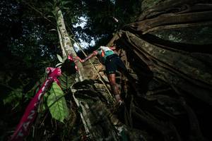 BIB: 
                            <button type="button" onclick="openModal(28096875)" class="btn btn-primary btn-sm float-right btn-popup" data-toggle="modal" data-target=".modal-high-quality">
                        <i class="fas fa-shopping-cart"></i> Add to Cart
                    </button>
                                            <button type="button" onclick="isThisMe(28096875, true)" class="btn btn-success btn-sm float-right btn-popup btn-isme hidden" data-toggle="tooltip" data-placement="bottom" title="นี่คือรูปของคุณใช่ไหม คลิกที่นี่เพื่อเอาเข้าอัลบั้ม">
                        <i class="fas fa-plus"></i> Add to album
                    </button>
                    <button type="button" onclick="isThisMe(28096875, false)" class="btn btn-warning btn-sm float-right btn-popup btn-isnotme hidden">
                        <i class="fas fa-ban"></i> Remove from album
                    </button>