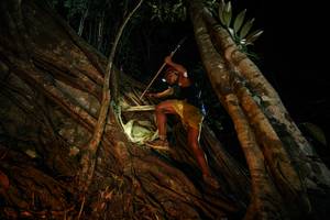 BIB: 
                            <button type="button" onclick="openModal(28097437)" class="btn btn-primary btn-sm float-right btn-popup" data-toggle="modal" data-target=".modal-high-quality">
                        <i class="fas fa-shopping-cart"></i> Add to Cart
                    </button>
                                            <button type="button" onclick="isThisMe(28097437, true)" class="btn btn-success btn-sm float-right btn-popup btn-isme hidden" data-toggle="tooltip" data-placement="bottom" title="นี่คือรูปของคุณใช่ไหม คลิกที่นี่เพื่อเอาเข้าอัลบั้ม">
                        <i class="fas fa-plus"></i> Add to album
                    </button>
                    <button type="button" onclick="isThisMe(28097437, false)" class="btn btn-warning btn-sm float-right btn-popup btn-isnotme hidden">
                        <i class="fas fa-ban"></i> Remove from album
                    </button>